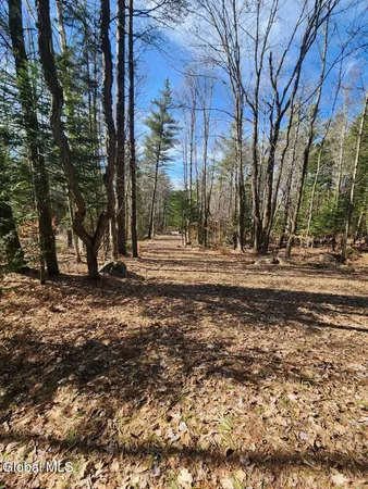 $64,900 | 2442 Highway 8, Lake Pleasant, NY 12108