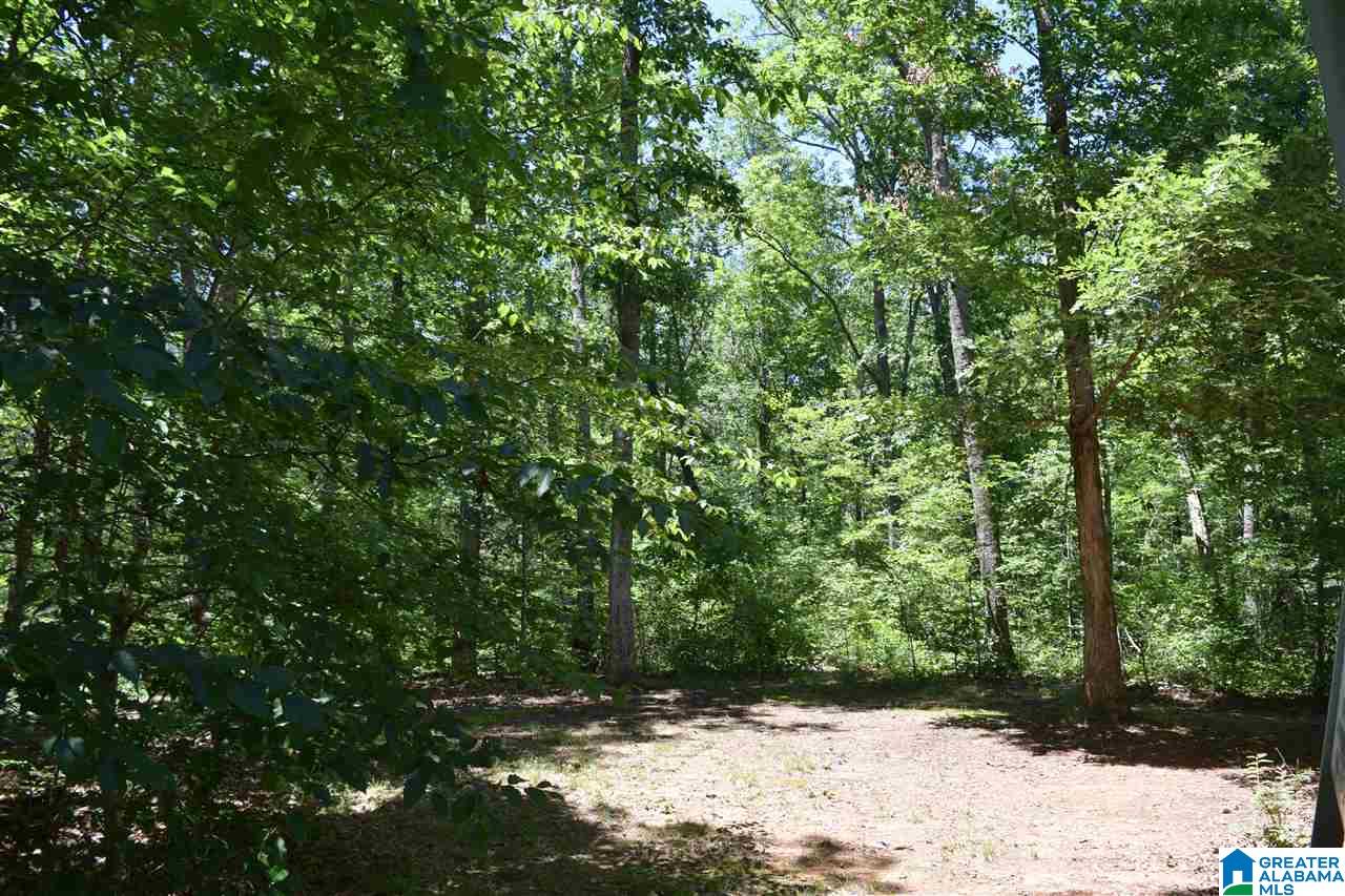 2 Westbrook Drive Hayden, AL 35079 - Photo 20 of 22