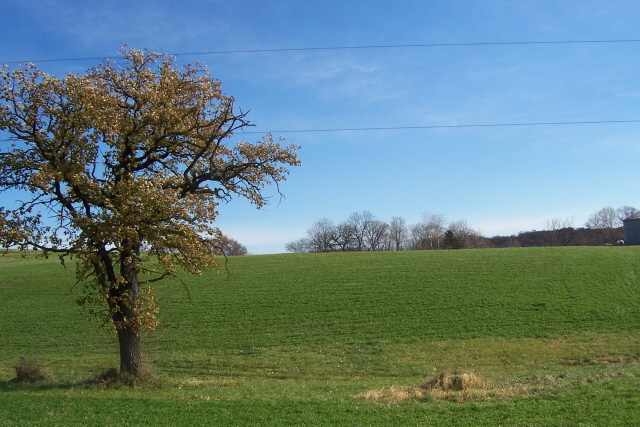 13.81-acres Redfearn Road Benton, WI 53803 - Photo 3 of 3 Gallery Image 3