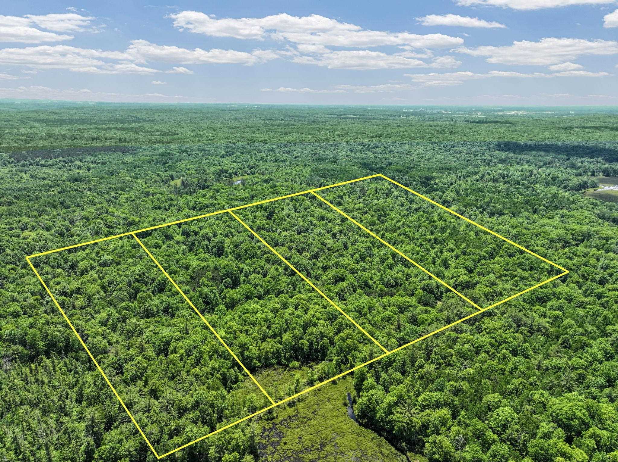 Parcel B Seeley Road Cadillac, MI 49651 - Photo 1 of 17