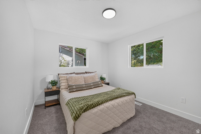 546 West 200 South Payson, UT 84651 - Photo 16 of 45 Bright interior room featuring two windows, neutral wall tones, low-pile carpeting, baseboard trim, and an overhead flush-mount light fixture
