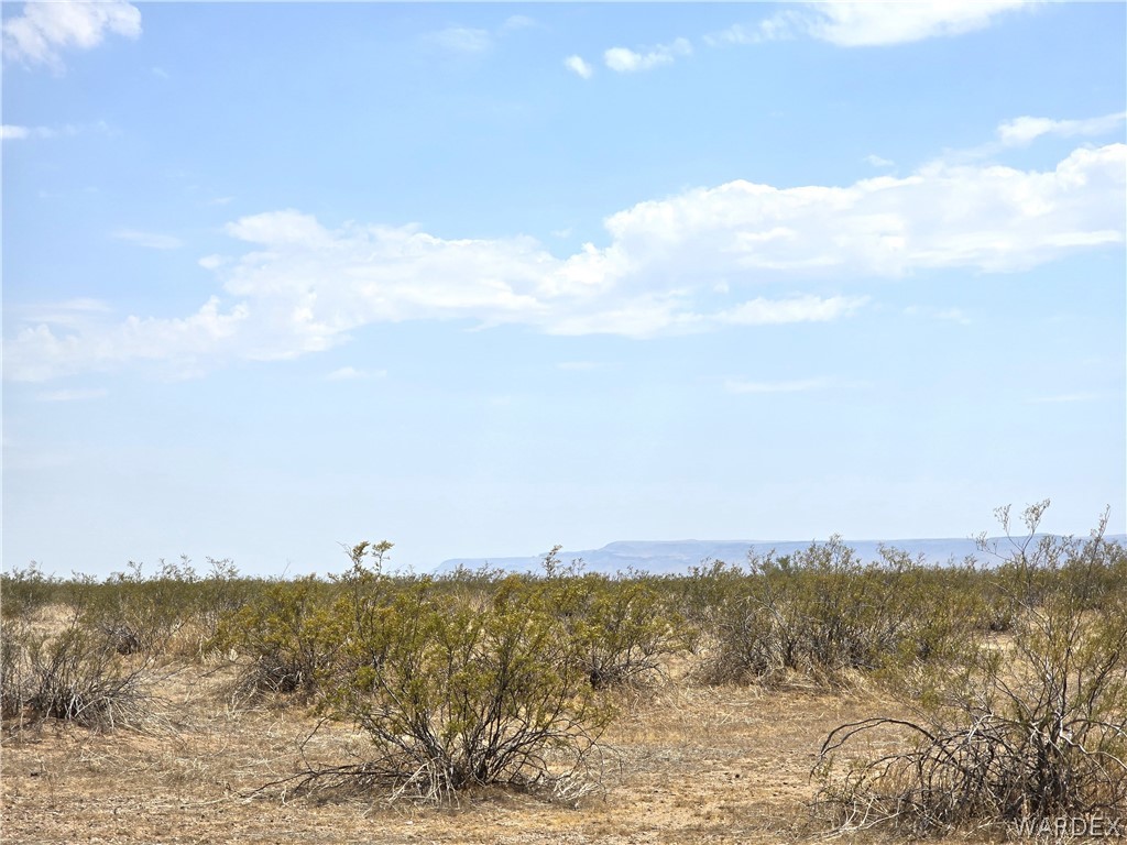 3366 Alamo Road Golden Valley, AZ 86413 - Photo 13 of 26 View