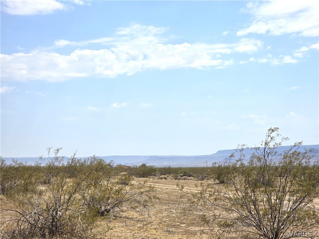 3366 Alamo Road Golden Valley, AZ 86413 - Photo 14 of 26 View