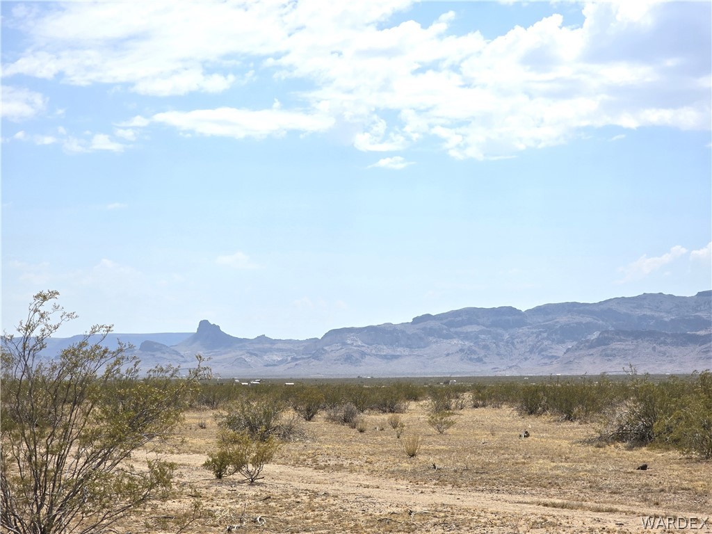 3366 Alamo Road Golden Valley, AZ 86413 - Photo 15 of 26 View