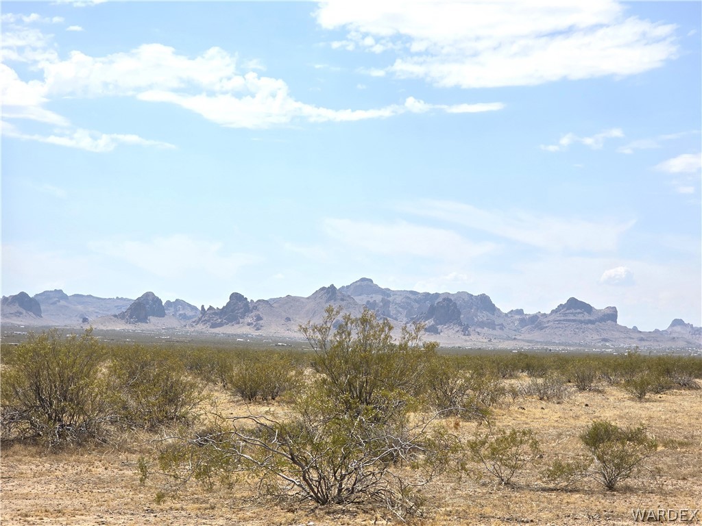 3366 Alamo Road Golden Valley, AZ 86413 - Photo 19 of 26 View