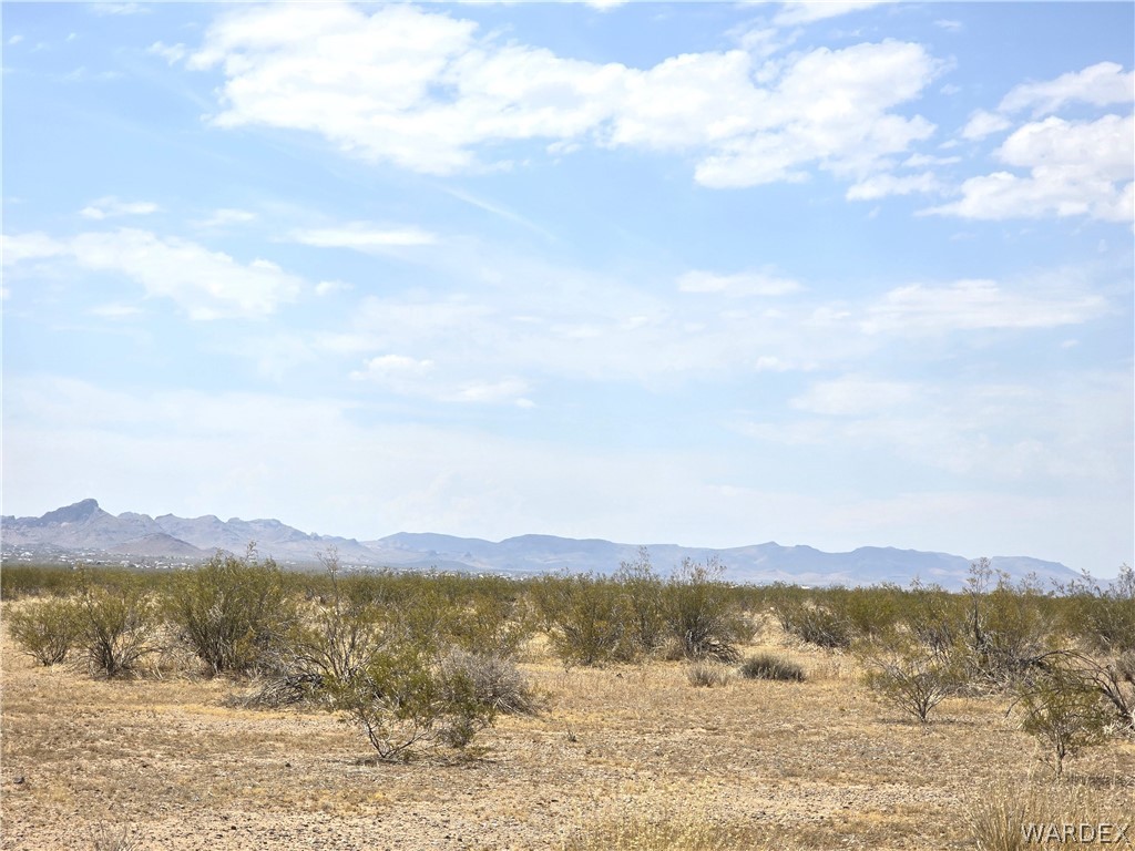 3366 Alamo Road Golden Valley, AZ 86413 - Photo 21 of 26 View