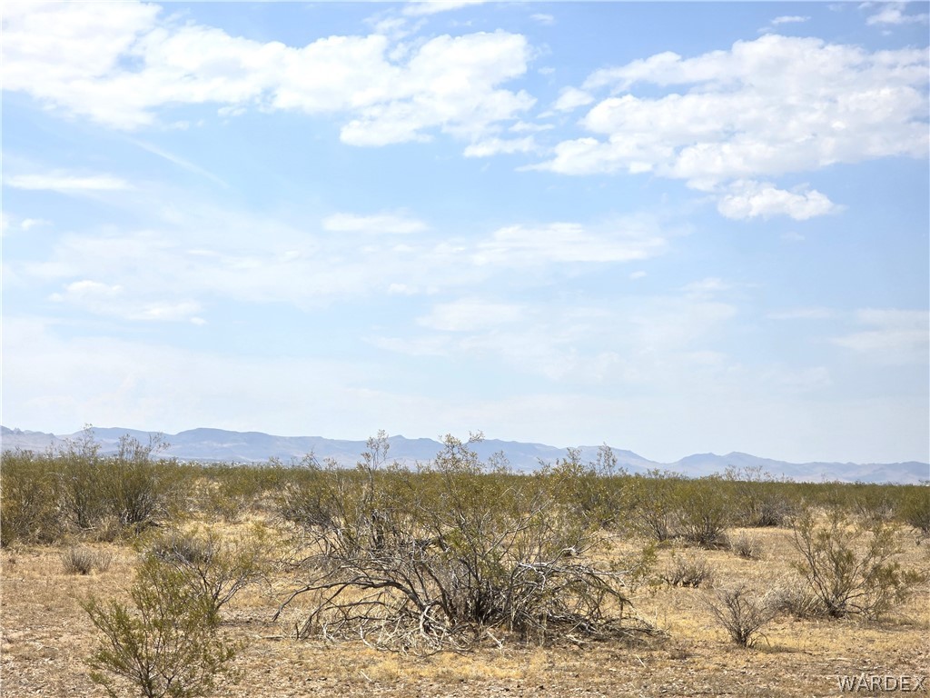3366 Alamo Road Golden Valley, AZ 86413 - Photo 22 of 26 View