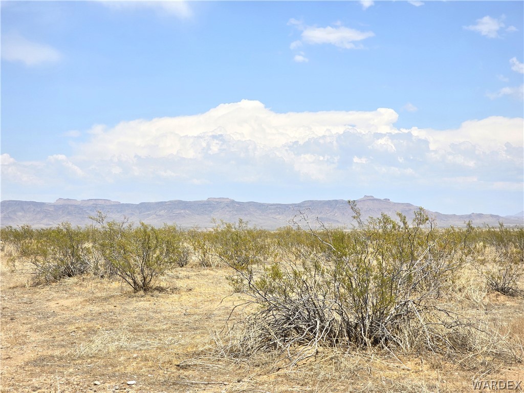 3366 Alamo Road Golden Valley, AZ 86413 - Photo 6 of 26 Lot
