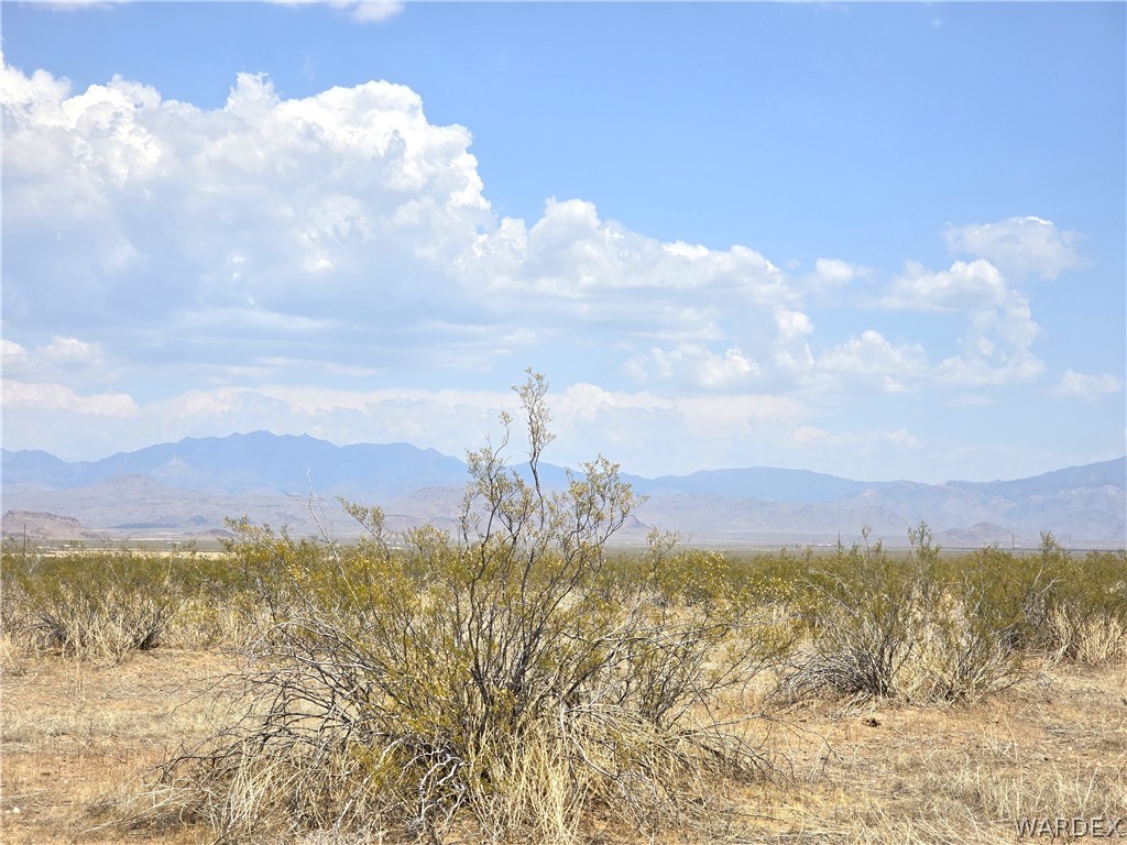 3366 Alamo Road Golden Valley, AZ 86413 - Photo 9 of 26 Lot