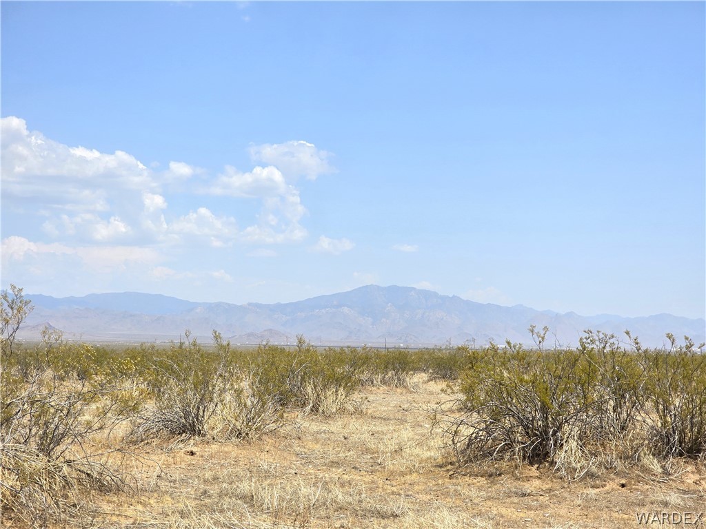 3366 Alamo Road Golden Valley, AZ 86413 - Photo 10 of 26 View
