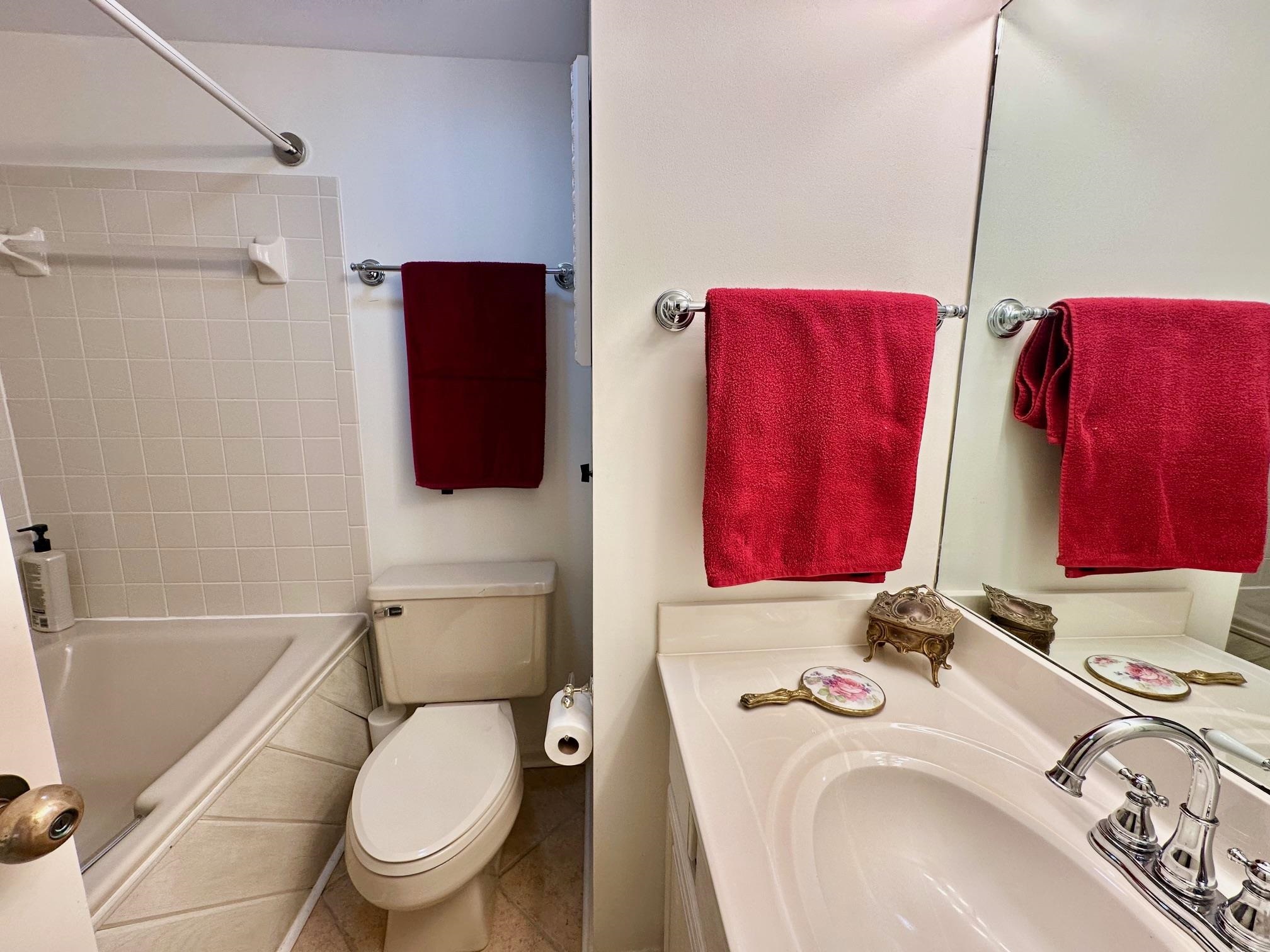 3206 North Ridge Wintergreen, VA 22967 - Photo 26 of 41 a bathroom with a toilet sink and tub