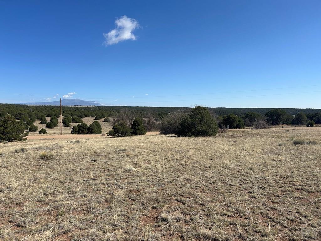 Lot 94 Navajo Ranch Walsenburg, CO 81089 - Photo 12 of 15 a view of outdoor space and yard