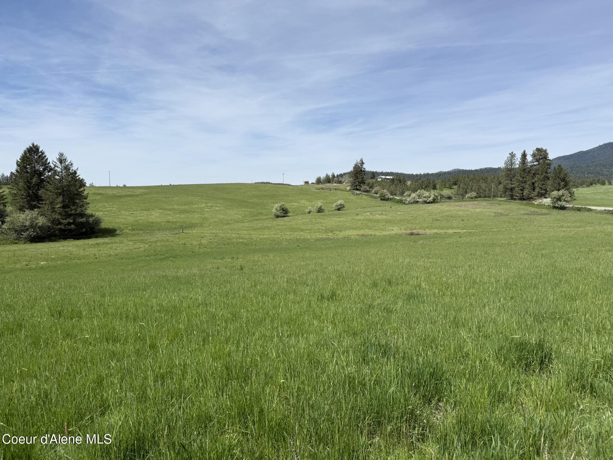 10334 Sanders Road Tensed, ID 83870 - Photo 29 of 69 IMG_7986