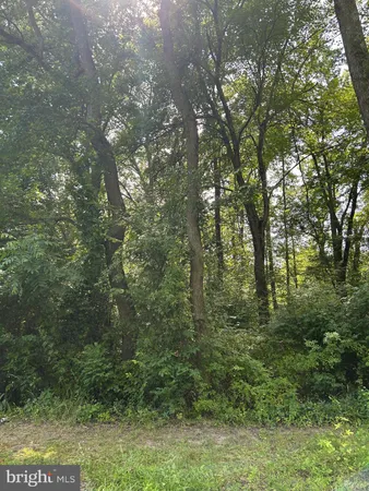 $40,000 | Chesterville Forest Road, Unit PARCEL 60, Millington, MD 21651