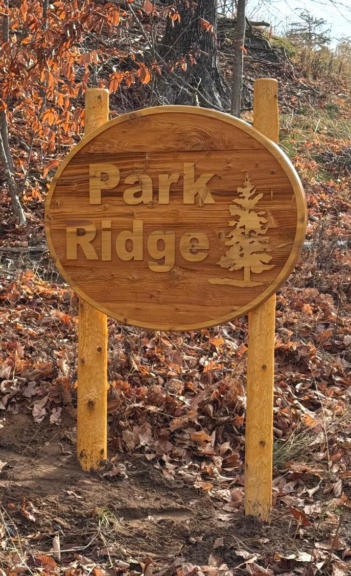 0 Park Ridge, Unit LOT: 10 Frankfort, MI 49635 - Photo 6 of 6
