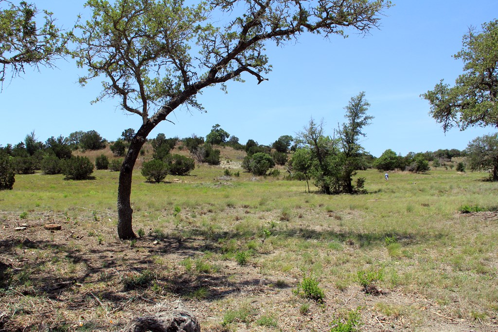 Lot 14 Winn Ranch Way Kerrville, TX 78028 - Photo 6 of 10 a view of a yard with a tree