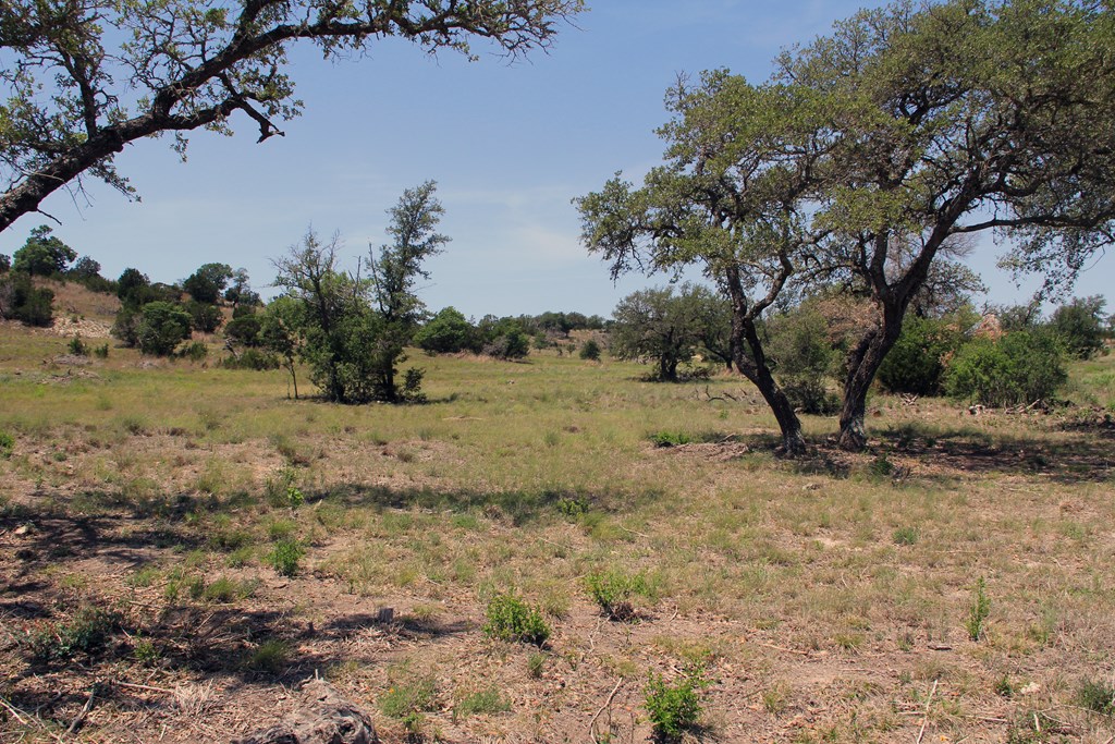 Lot 14 Winn Ranch Way Kerrville, TX 78028 - Photo 8 of 10 a view of a dry yard with trees