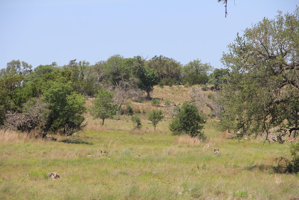 Lot 14 Winn Ranch Way Kerrville, TX 78028 - Photo 9 of 10 a view of a yard with a tree