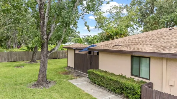 a view of a backyard with plants and large trees