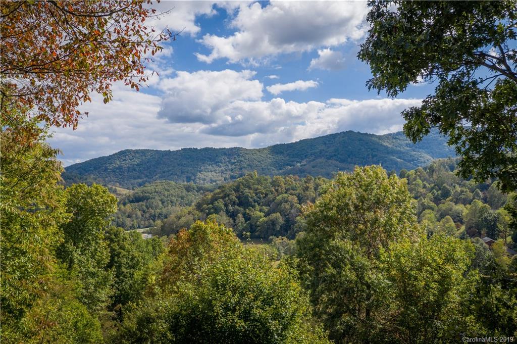 246 Violet Ridge Waynesville, NC 28785 - Photo 4 of 29 Gallery Image 4