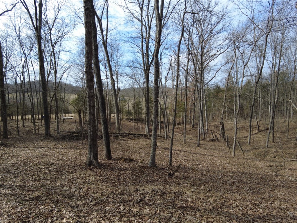 1897 Chestnut Ridge Road West Union, OH 45693 - Photo 8 of 61