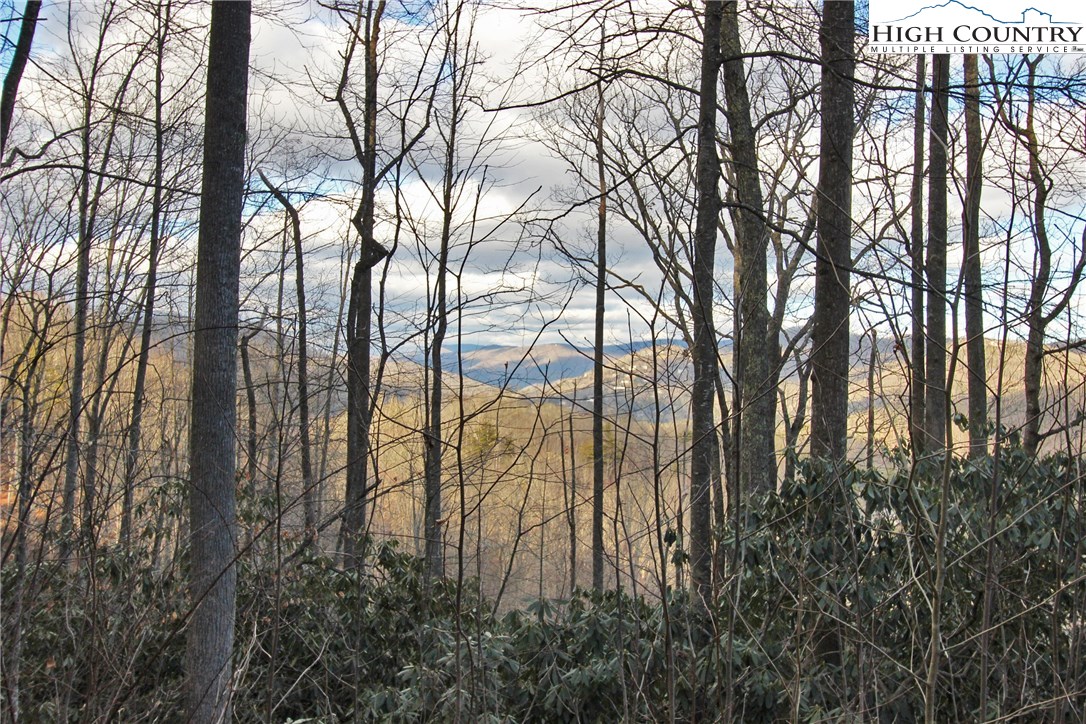 Lot 212 Ontario Ridge Boone, NC 28607 - Photo 1 of 14 Gallery Image 1