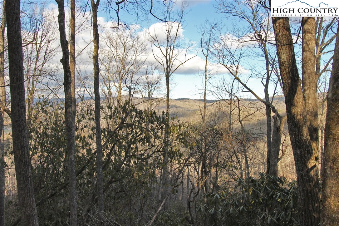 Lot 212 Ontario Ridge Boone, NC 28607 - Photo 2 of 14 Gallery Image 2