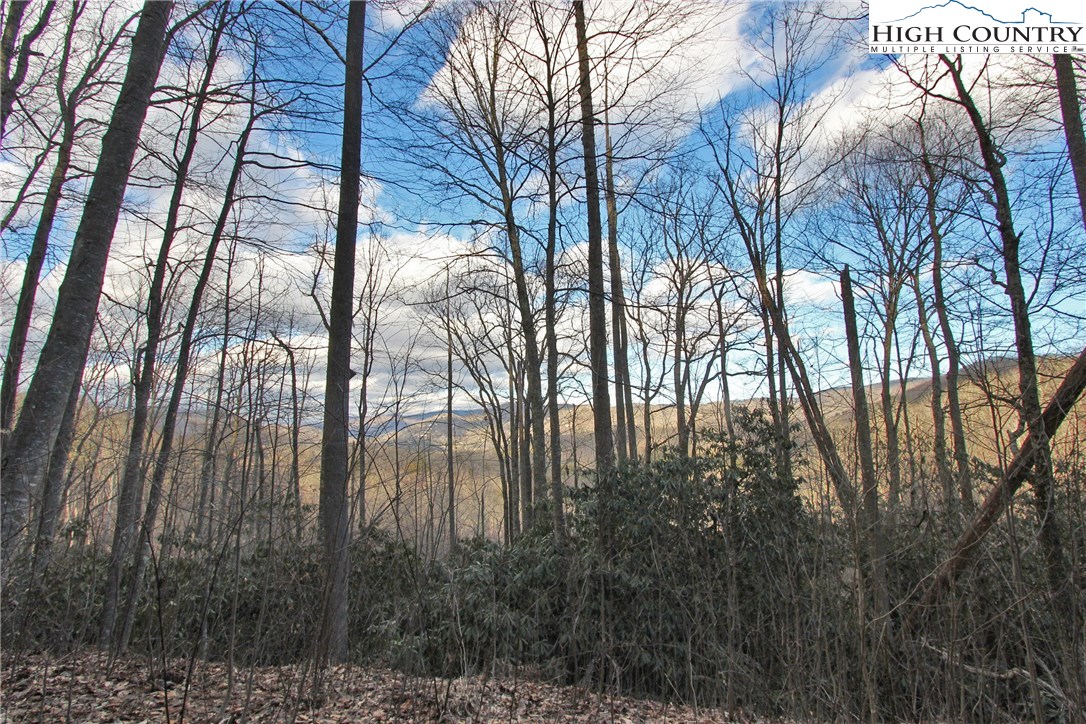 Lot 212 Ontario Ridge Boone, NC 28607 - Photo 3 of 14 Gallery Image 3