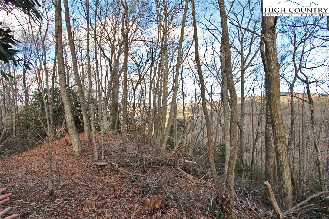 Lot 212 Ontario Ridge Boone, NC 28607 - Photo 4 of 14 Gallery Image 4