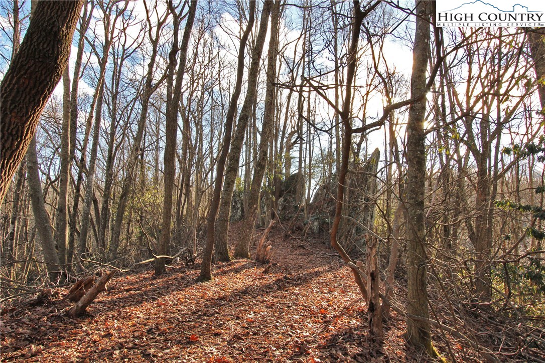 Lot 212 Ontario Ridge Boone, NC 28607 - Photo 5 of 14 Gallery Image 5