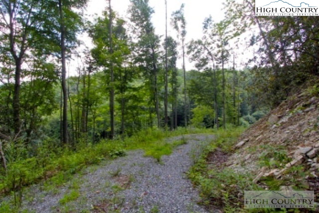 Lot 212 Ontario Ridge Boone, NC 28607 - Photo 6 of 14 Gallery Image 6