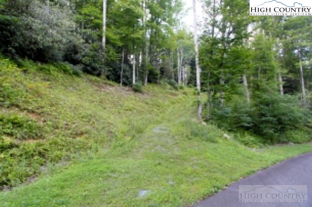 Lot 212 Ontario Ridge Boone, NC 28607 - Photo 7 of 14 Gallery Image 7