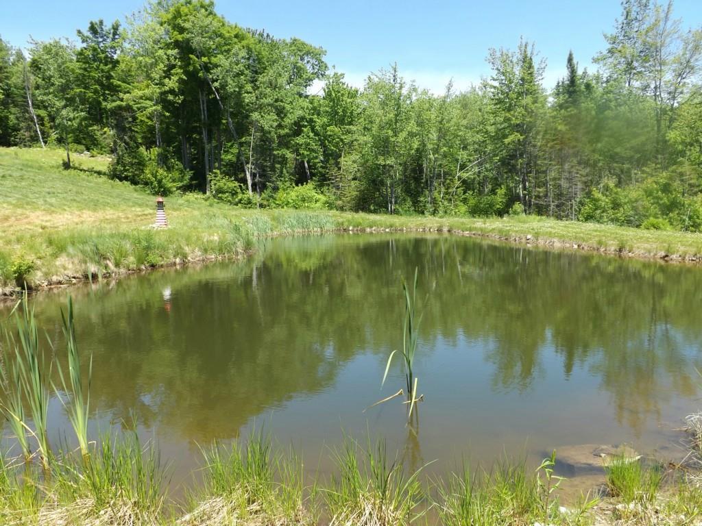 1875 Hostile Valley Road Palermo, ME 04354 - Photo 12 of 32 The pond complete with lighthouse!