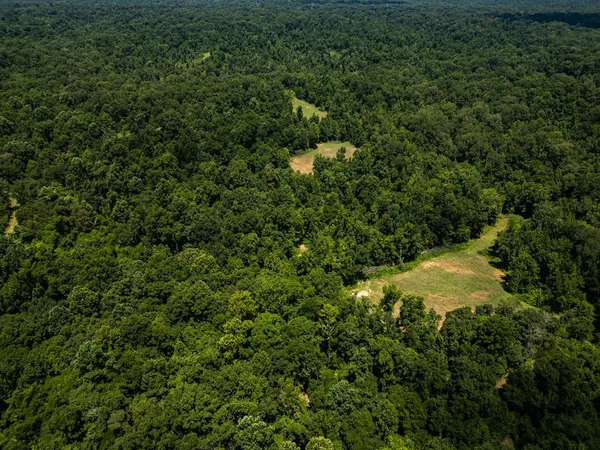 $1,615,000 | 3169 Karnac Ferry Road, Port Gibson, MS 39150