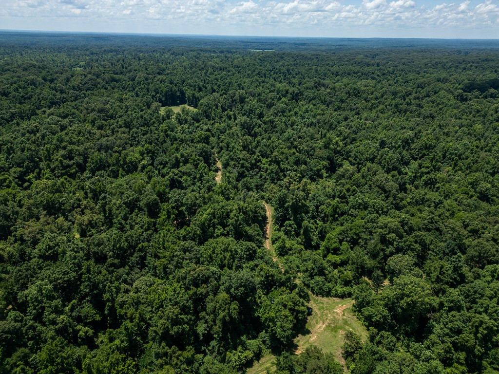 3169 Karnac Ferry Road Port Gibson, MS 39150 - Photo 11 of 49 Photo 11