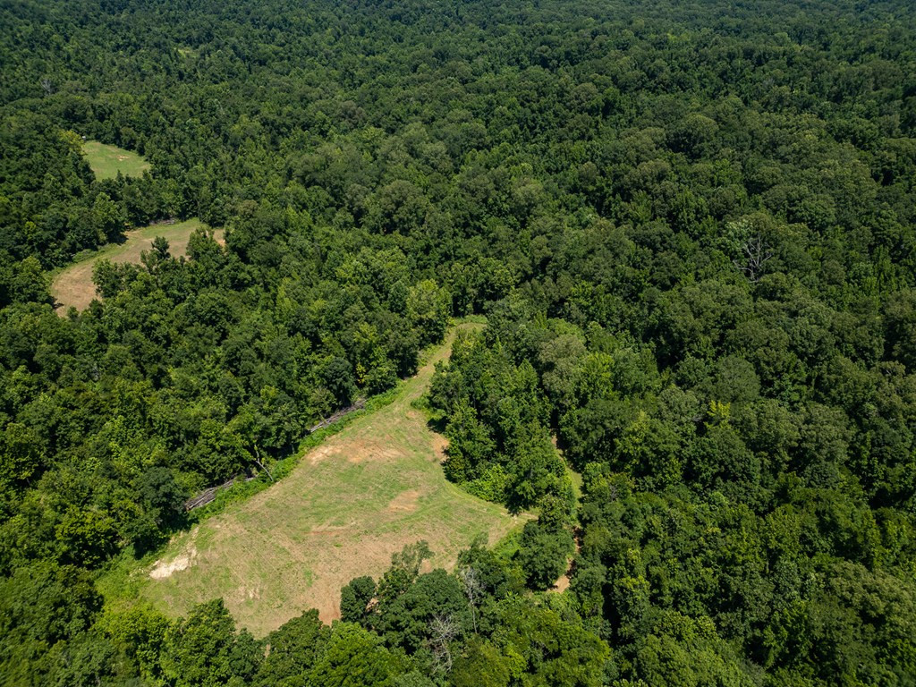 3169 Karnac Ferry Road Port Gibson, MS 39150 - Photo 12 of 49 Photo 12