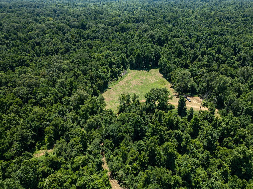 3169 Karnac Ferry Road Port Gibson, MS 39150 - Photo 13 of 49 Photo 13