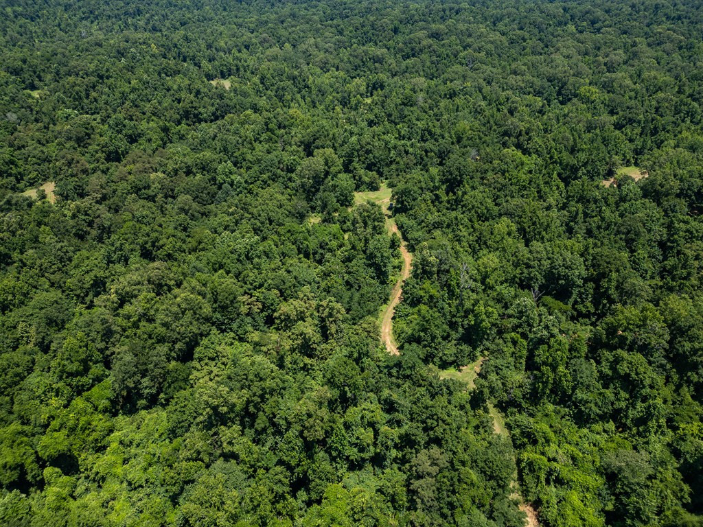 3169 Karnac Ferry Road Port Gibson, MS 39150 - Photo 14 of 49 Photo 14