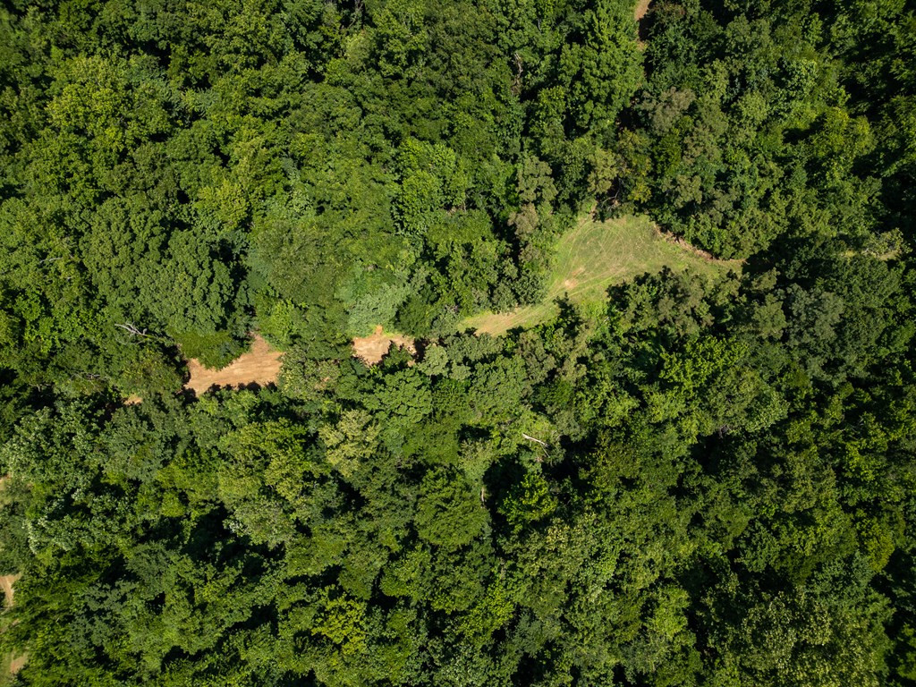 3169 Karnac Ferry Road Port Gibson, MS 39150 - Photo 15 of 49 Photo 15