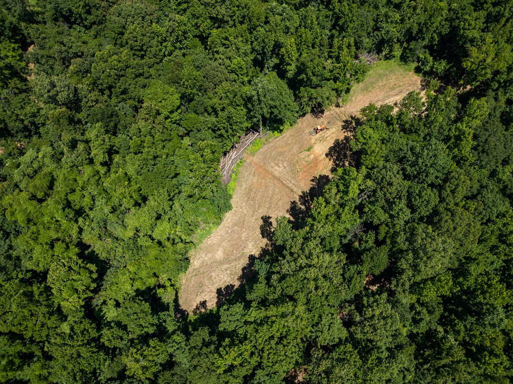 3169 Karnac Ferry Road Port Gibson, MS 39150 - Photo 16 of 49 Photo 16