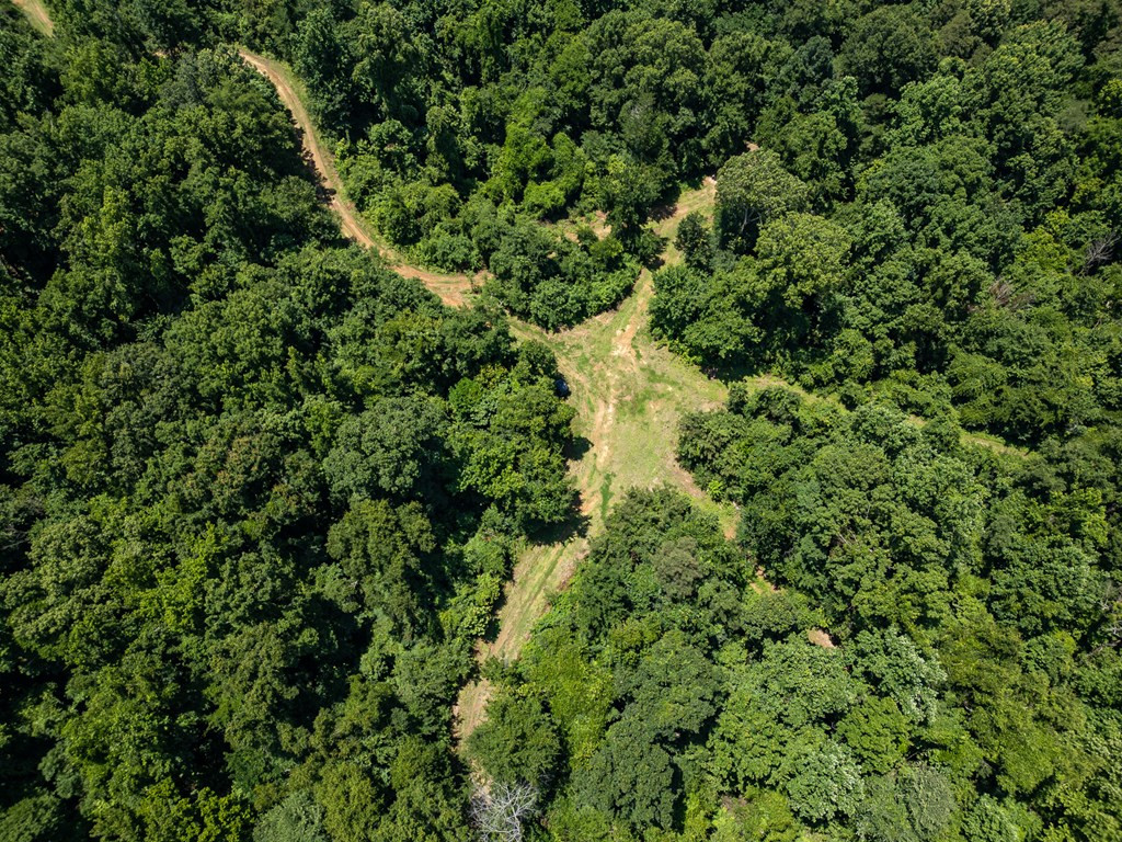 3169 Karnac Ferry Road Port Gibson, MS 39150 - Photo 17 of 49 Photo 17