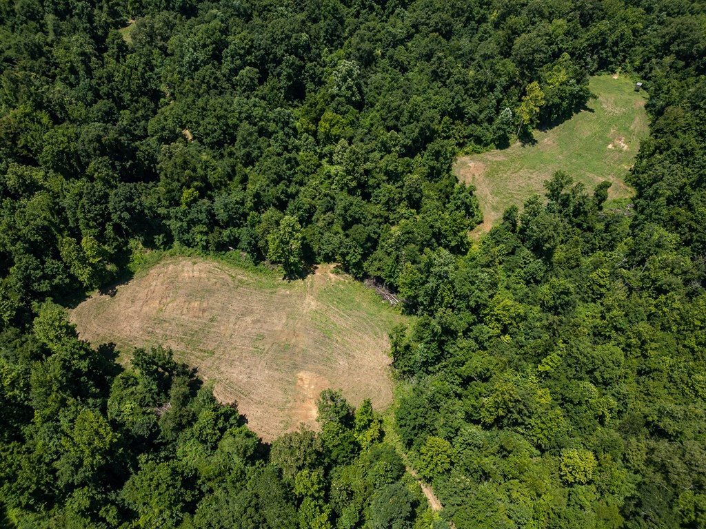 3169 Karnac Ferry Road Port Gibson, MS 39150 - Photo 19 of 49 Photo 19