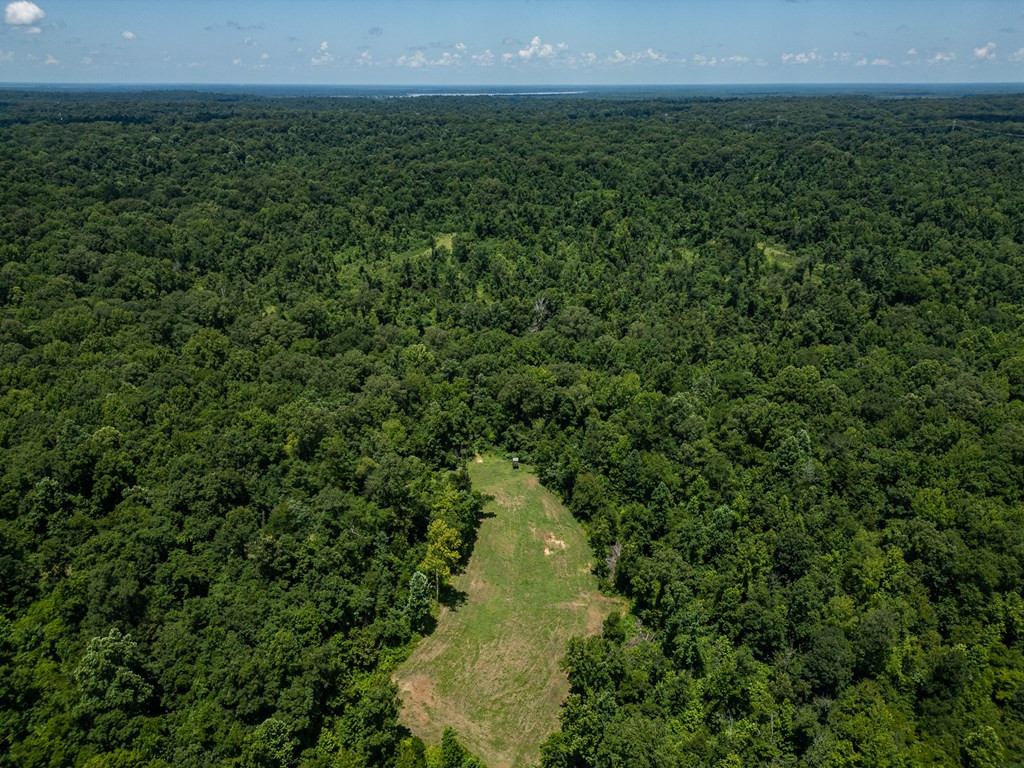3169 Karnac Ferry Road Port Gibson, MS 39150 - Photo 20 of 49 Photo 20