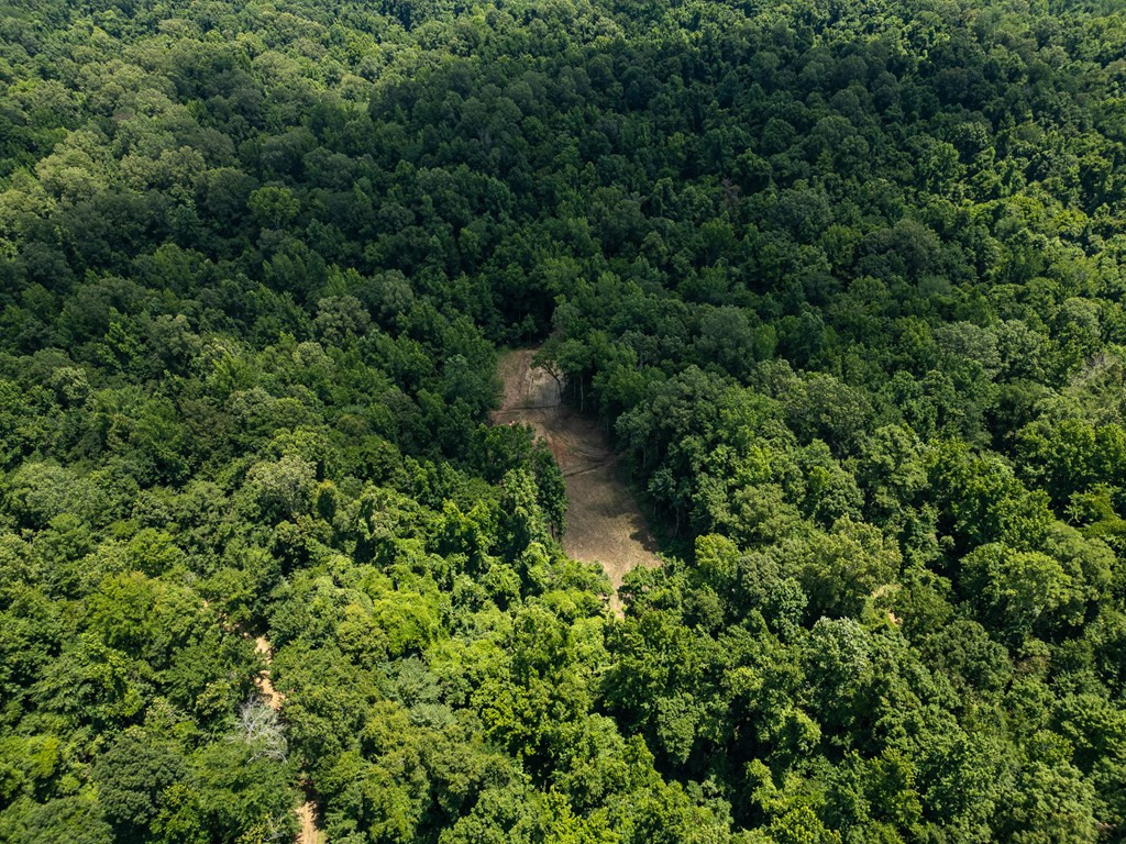 3169 Karnac Ferry Road Port Gibson, MS 39150 - Photo 21 of 49 Photo 21