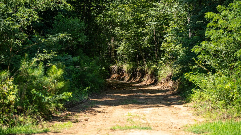 3169 Karnac Ferry Road Port Gibson, MS 39150 - Photo 34 of 49 Photo 34