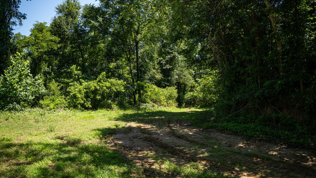 3169 Karnac Ferry Road Port Gibson, MS 39150 - Photo 35 of 49 Photo 35