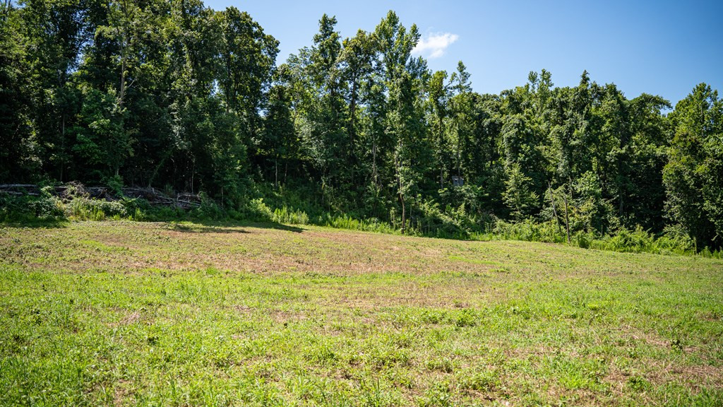 3169 Karnac Ferry Road Port Gibson, MS 39150 - Photo 36 of 49 Photo 36