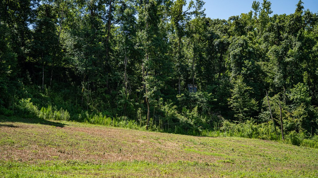 3169 Karnac Ferry Road Port Gibson, MS 39150 - Photo 37 of 49 Photo 37