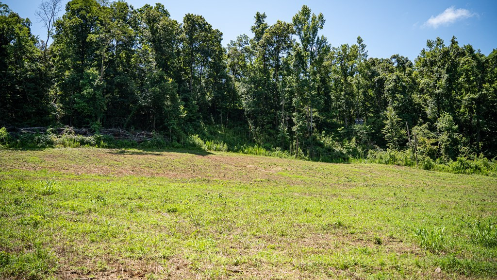 3169 Karnac Ferry Road Port Gibson, MS 39150 - Photo 38 of 49 Photo 38