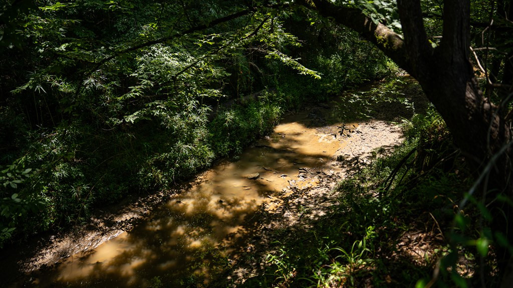 3169 Karnac Ferry Road Port Gibson, MS 39150 - Photo 39 of 49 Photo 39